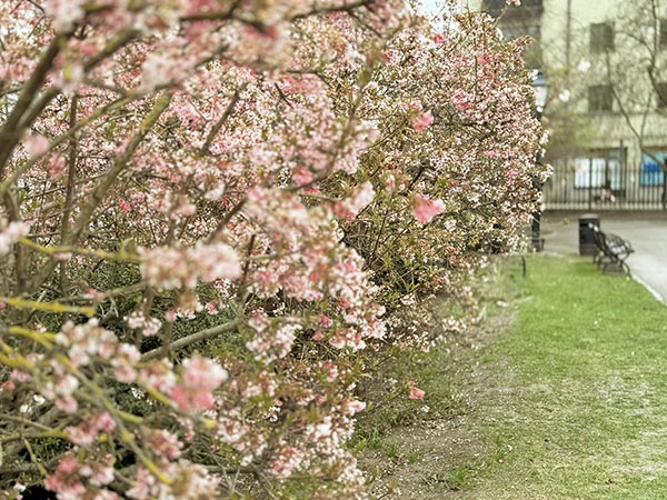KLARA PSYKIATRI - Neuropsykiatriska utredningar barn och vuxna - Park