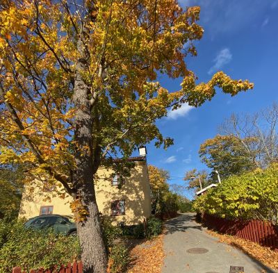 Klara Psykiatri, Mälarvarvsbacken 7 - Ingång