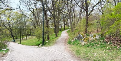 KLARA PSYKIATRI - Park
